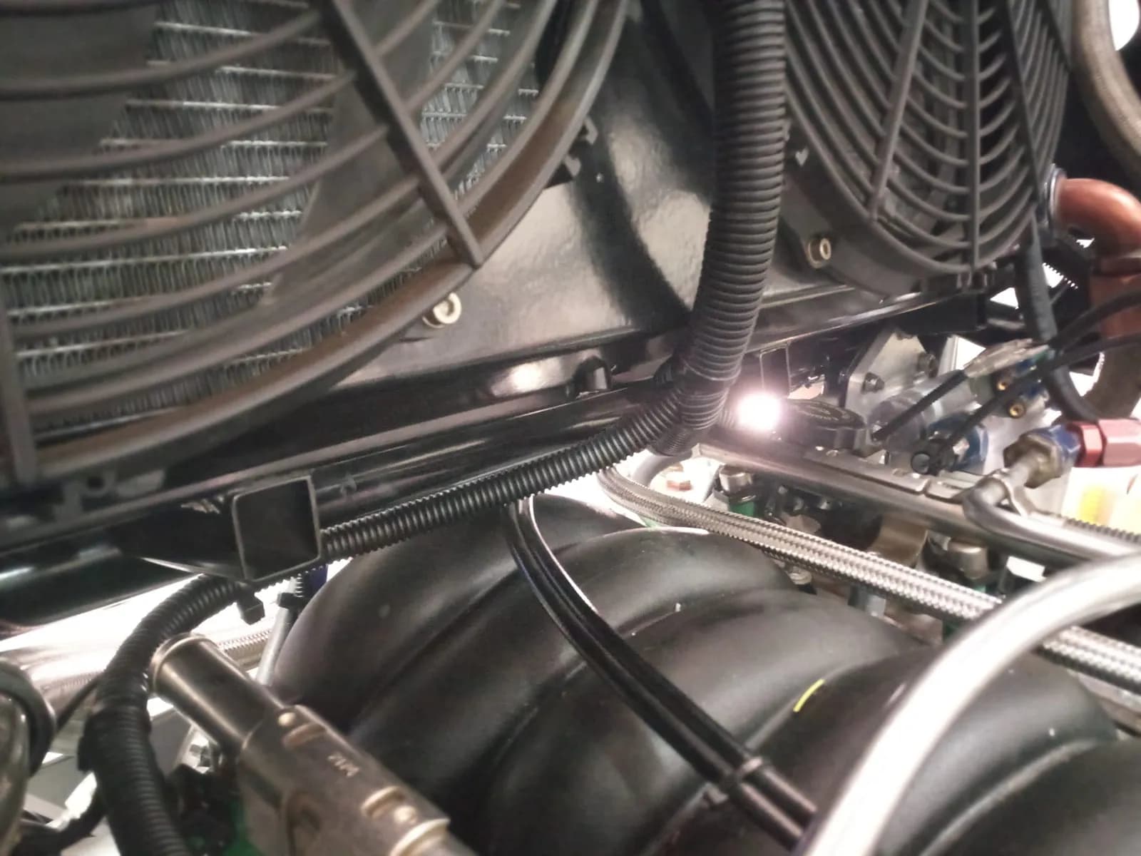 Chev LS2 Spitronics Mercury 2